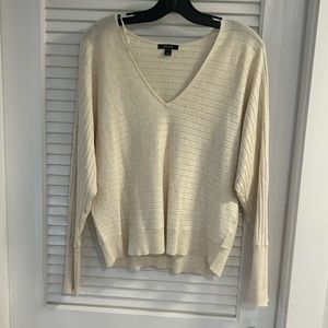 Women’s V - neck sweater size large